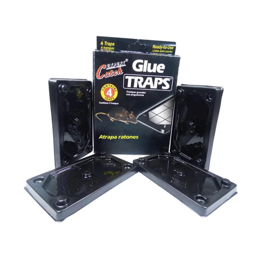 Glue Traps